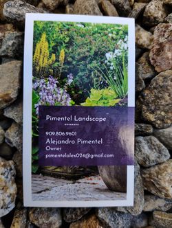 Landscape, Maintenance 