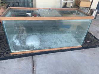 75g aquarium fish tank
