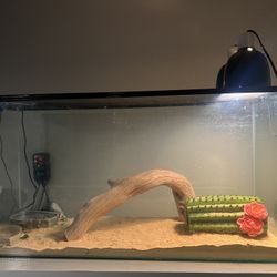 60 Gallon Seamless Glass Tank