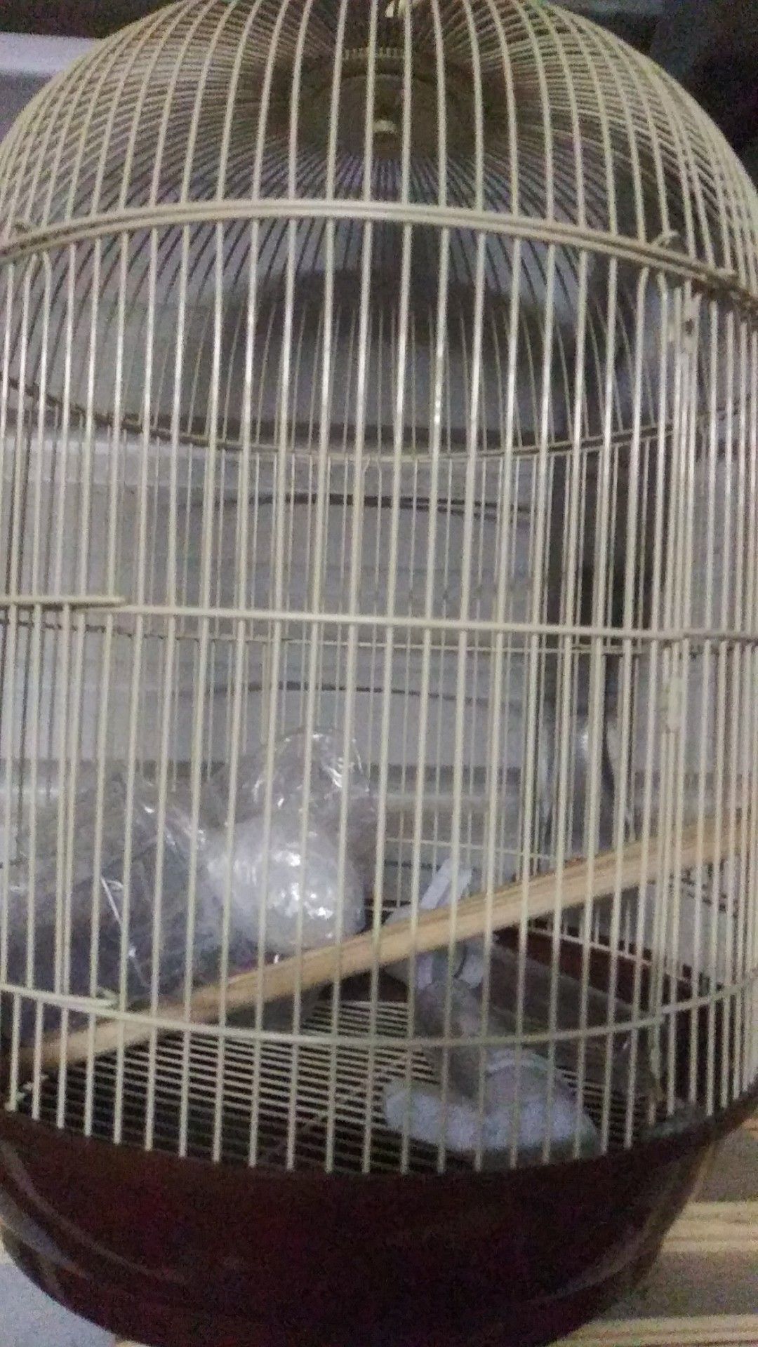 Bird cage new