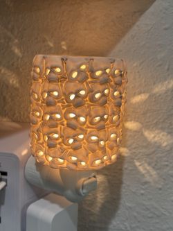 Scentsy Catacombs skull mini warmer