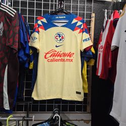 ÁGUILAS DE LA AMÉRICA 