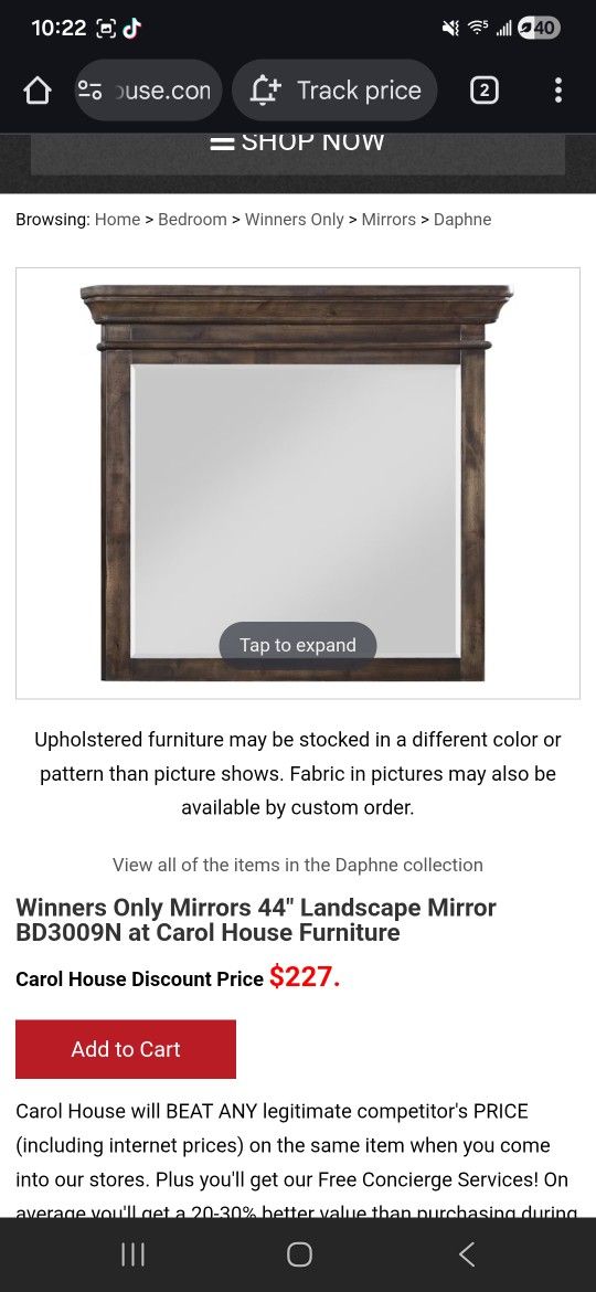Landscape Mirror 