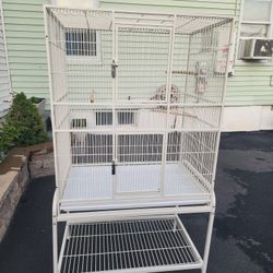 Bird Cage