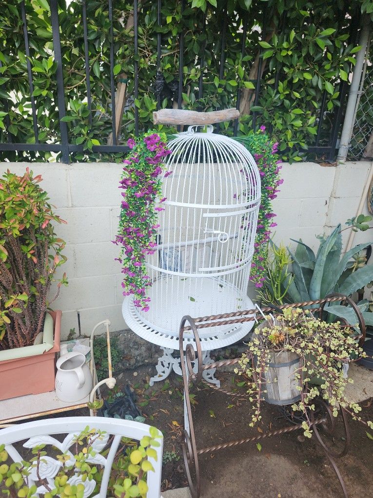 Big White Bird Cage 
