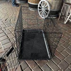 Dog Kennel