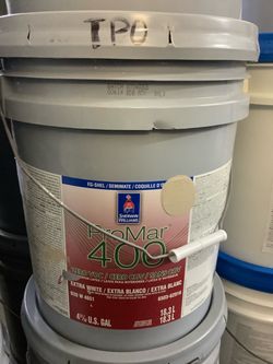 Interior Paint (Dhurrie Beige)