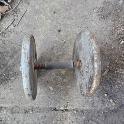 Weight