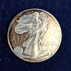 2004 Holographic Silver Eagle 