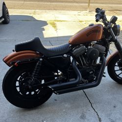 2001 Sportster 883 