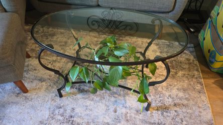 Glass Top Metal frame Coffee Table