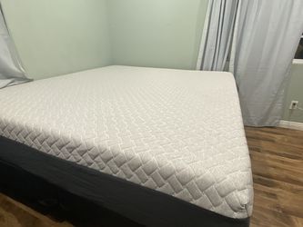 Sealy laZe King Mattress
