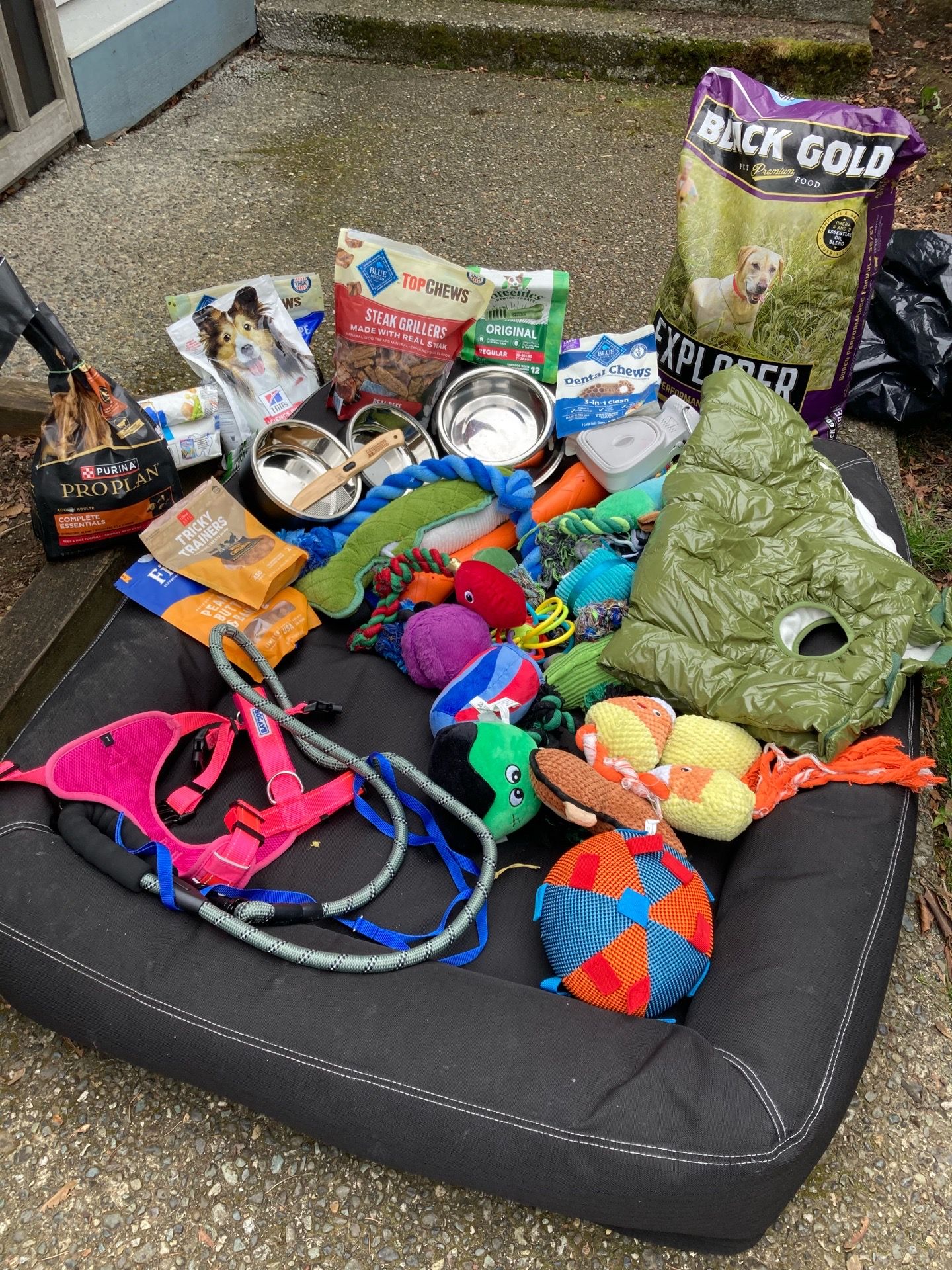 Extra large dog bed /dog toys/food
