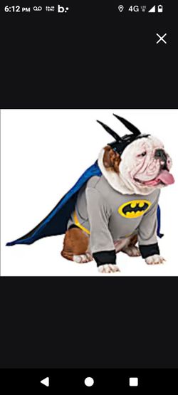Dog Costume