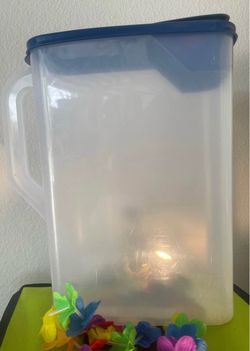 Plastic Pet Food Container with Lid (13x9”)