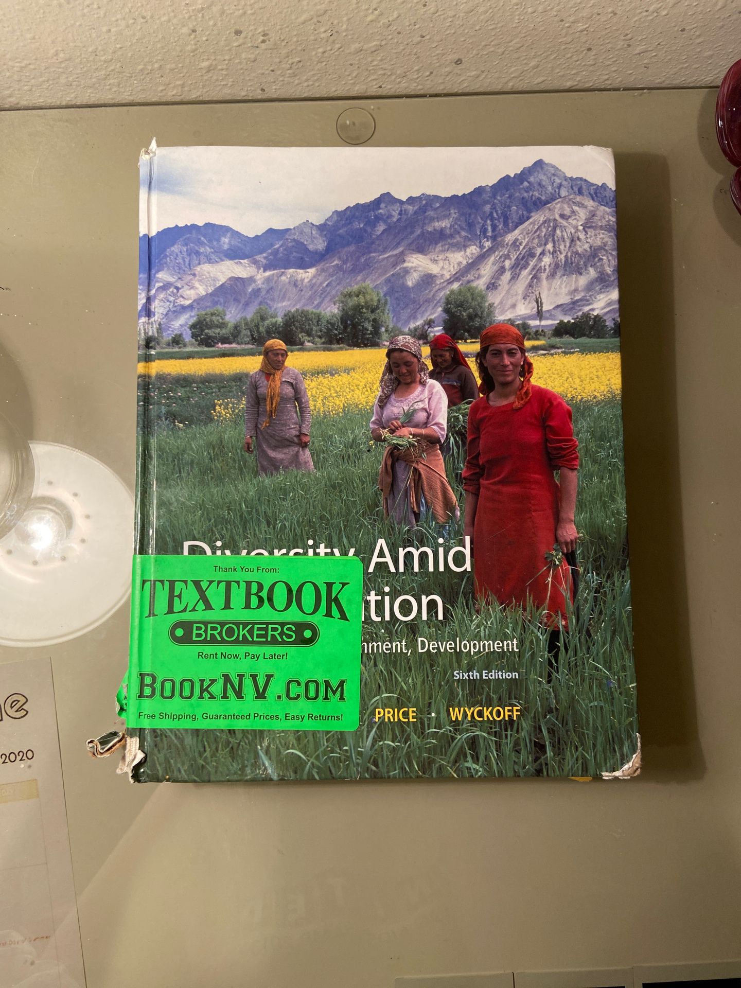 Diversity Amid Globalization- college book