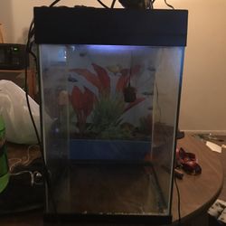 30 Gallon Fish Tank