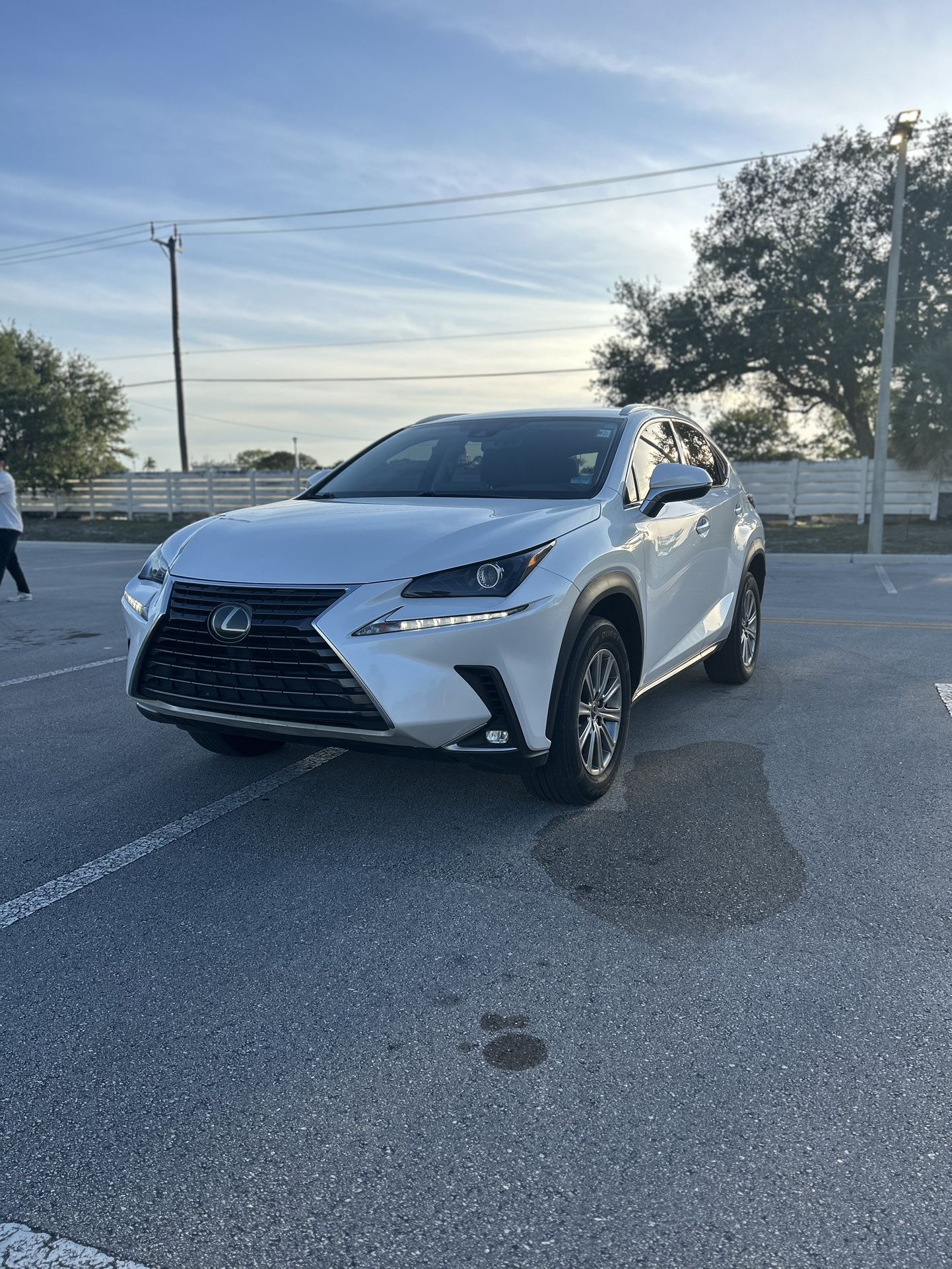 2020 Lexus NX 300