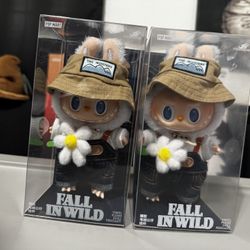 Authentic Fall In Wild
