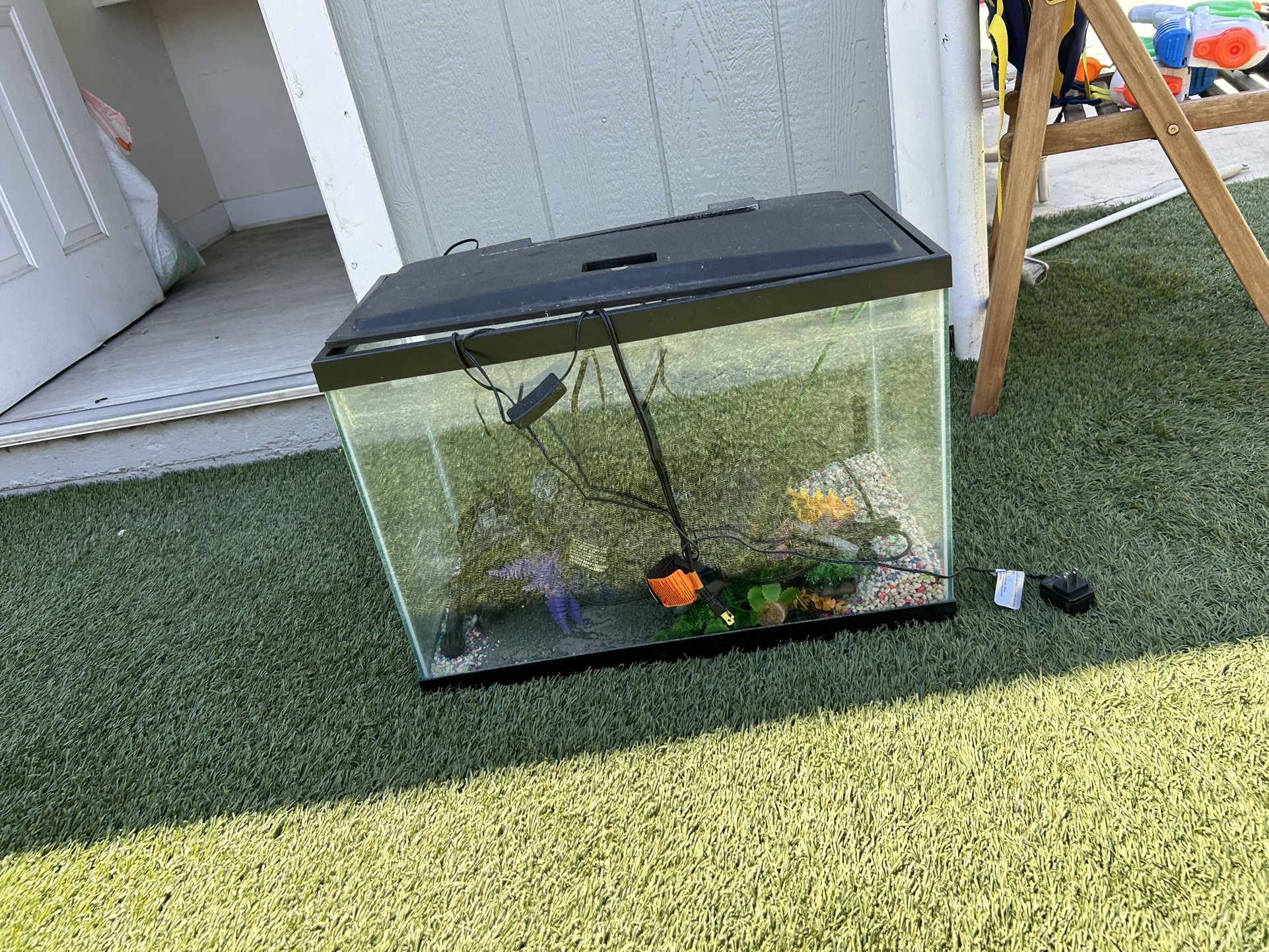 10 Gallon Fish Tank