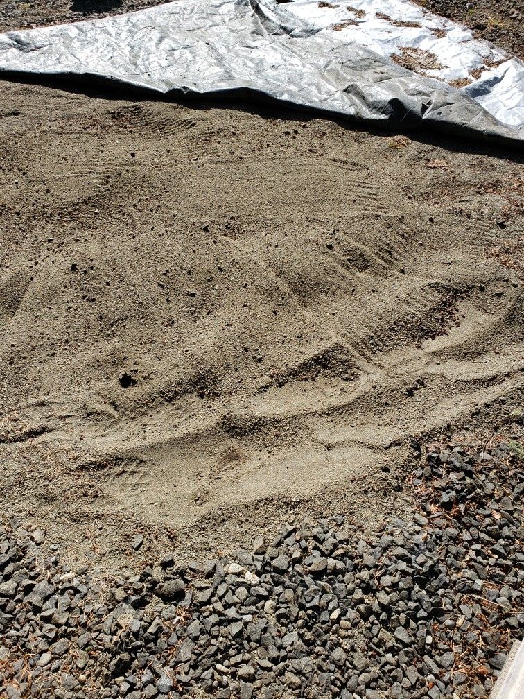 Free Sand