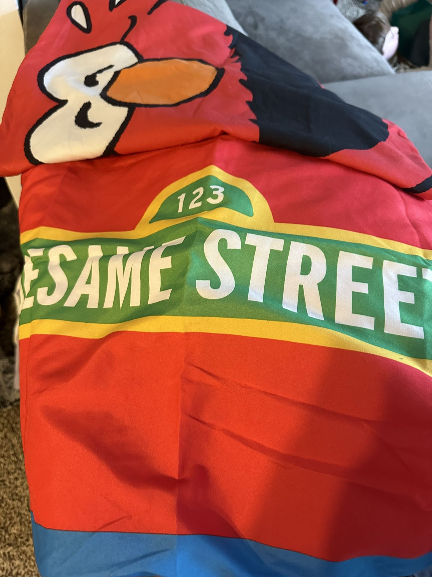 Sesame Street Comforter Set 