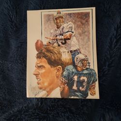 Dan MARINO