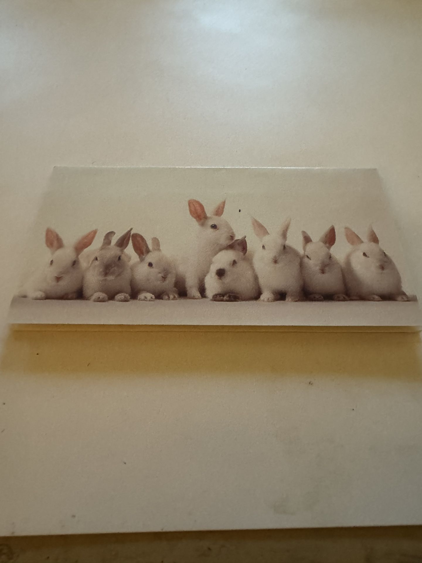 $2 Bill Easter Bunny Walmart Issued 1998