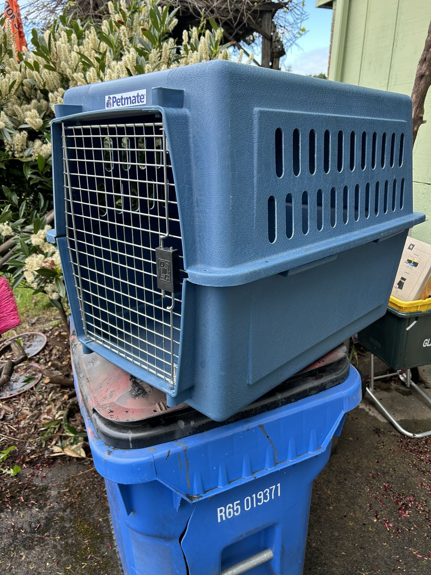 Medium Large Dog Kennel in good shape
