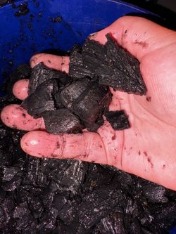 CHARGED BioChar for Plants.