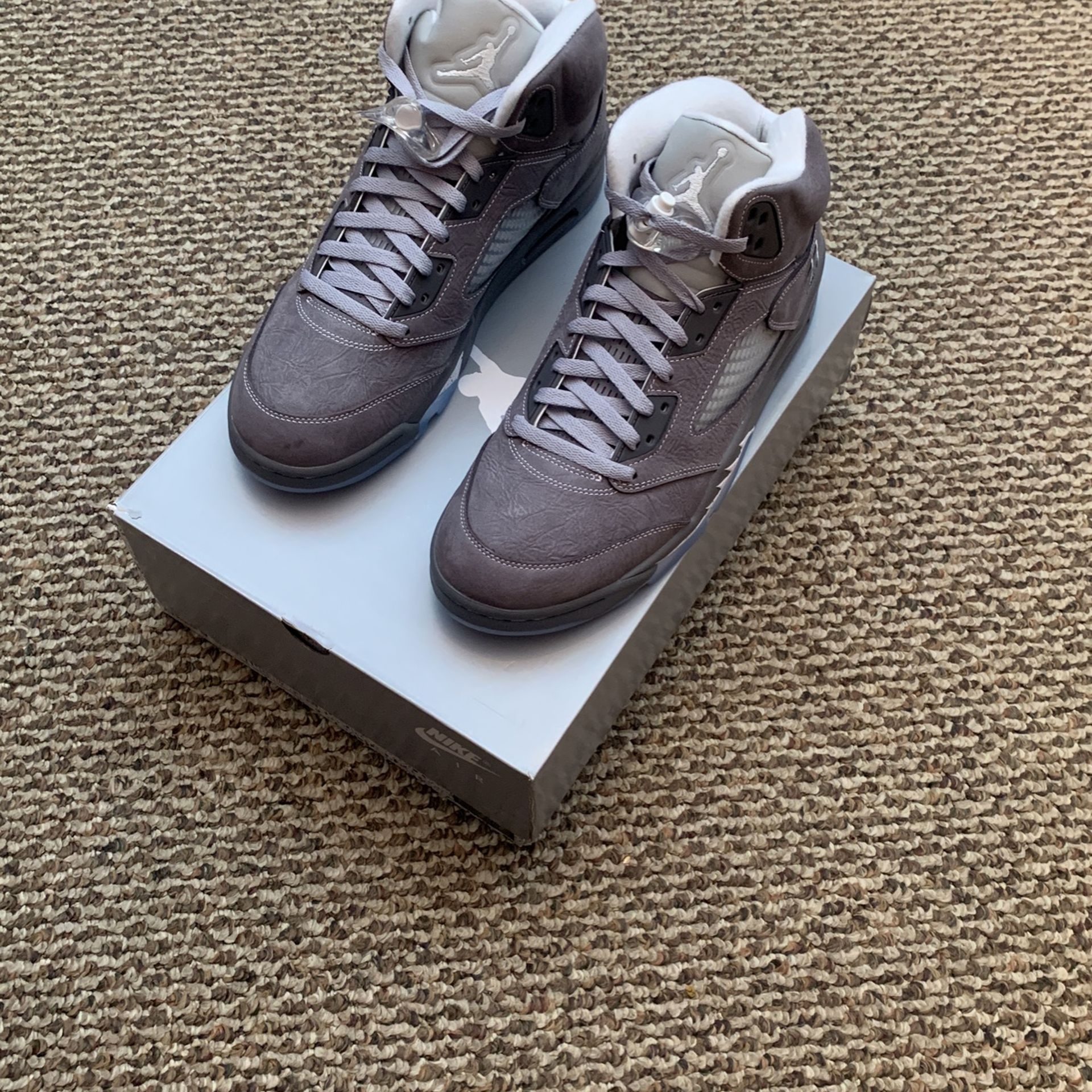 Wolf Grey 5