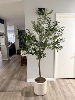 Tall Faux Olive Tree in White Planter