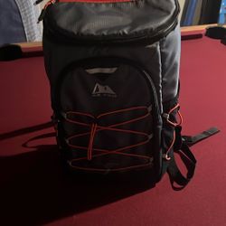 Arctic Zone 24 Can Backpack Cooler 