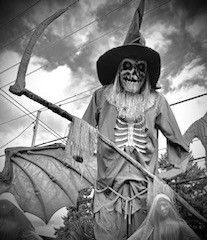 Halloween Decorations Animatronics Life Size Animatronic & 12' Tall Skeleton And More Priced Individualy