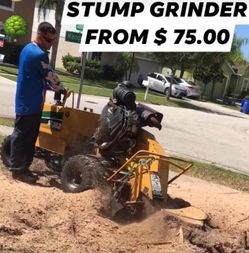 Stump Grinder 