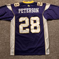 NFL Vikings Jersey Large