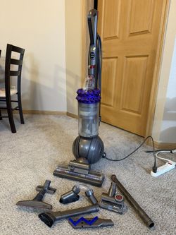 Dyson Cinetic Big Ball Animal