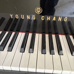Young Change Piano