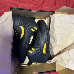 Air Jordan Retro 12 