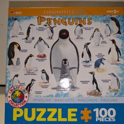 Potential Puzzle