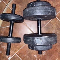 30 Dollars For Everything Adjustable Dumbbells With Weight And Plate