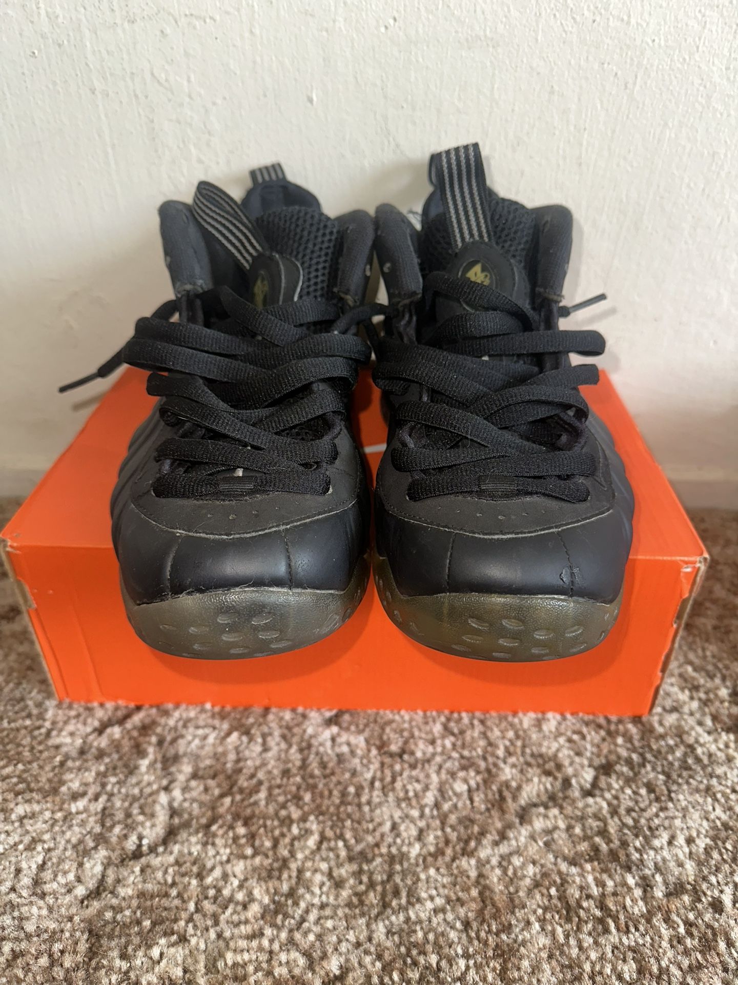 Nike Foamposite “Stealth”