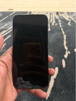 iPhone 15 Pro Max W/Case