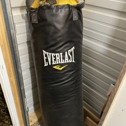 Everlast 80 lbs. Punching Bag With Stand