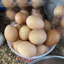 Organic Eggs 