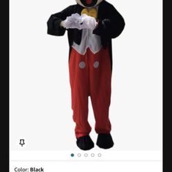 mickey mouse mascot 