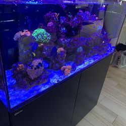 100g Red Sea Fish Tank 