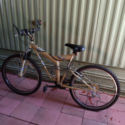 Bike "Rainbow"