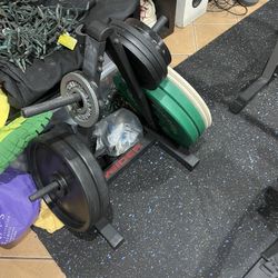 Gym Equipment Cage And Weights 