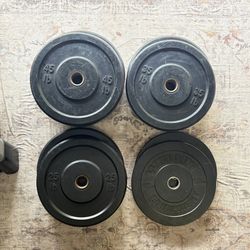230lb Bumper plate weight set (2x 45,35,25,10)
